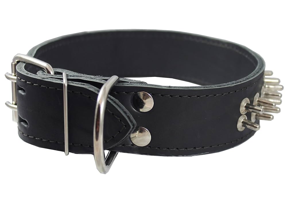 DOG COLLAR WIDE ブラック Amazon.com : Dog Collar for Large Dogs - 2 in Black Collars